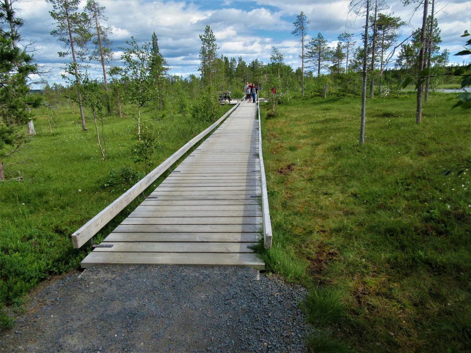 Wooden boardwalk leading through a grassy field with scattered trees under a partly cloudy sky