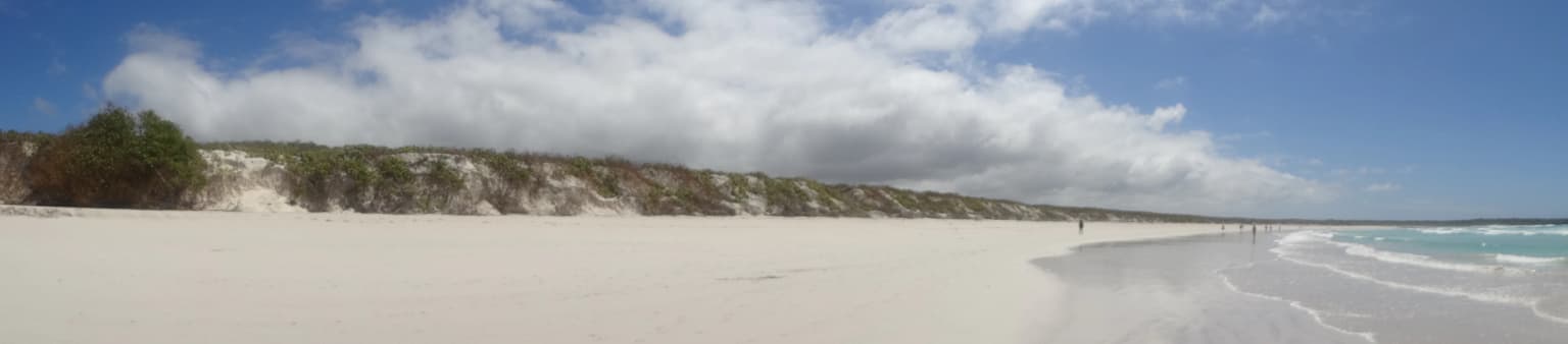 Wide sandy beach with turquoise ocean waves, white clouds in blue sky, and sparse coastal vegetation on the horizon