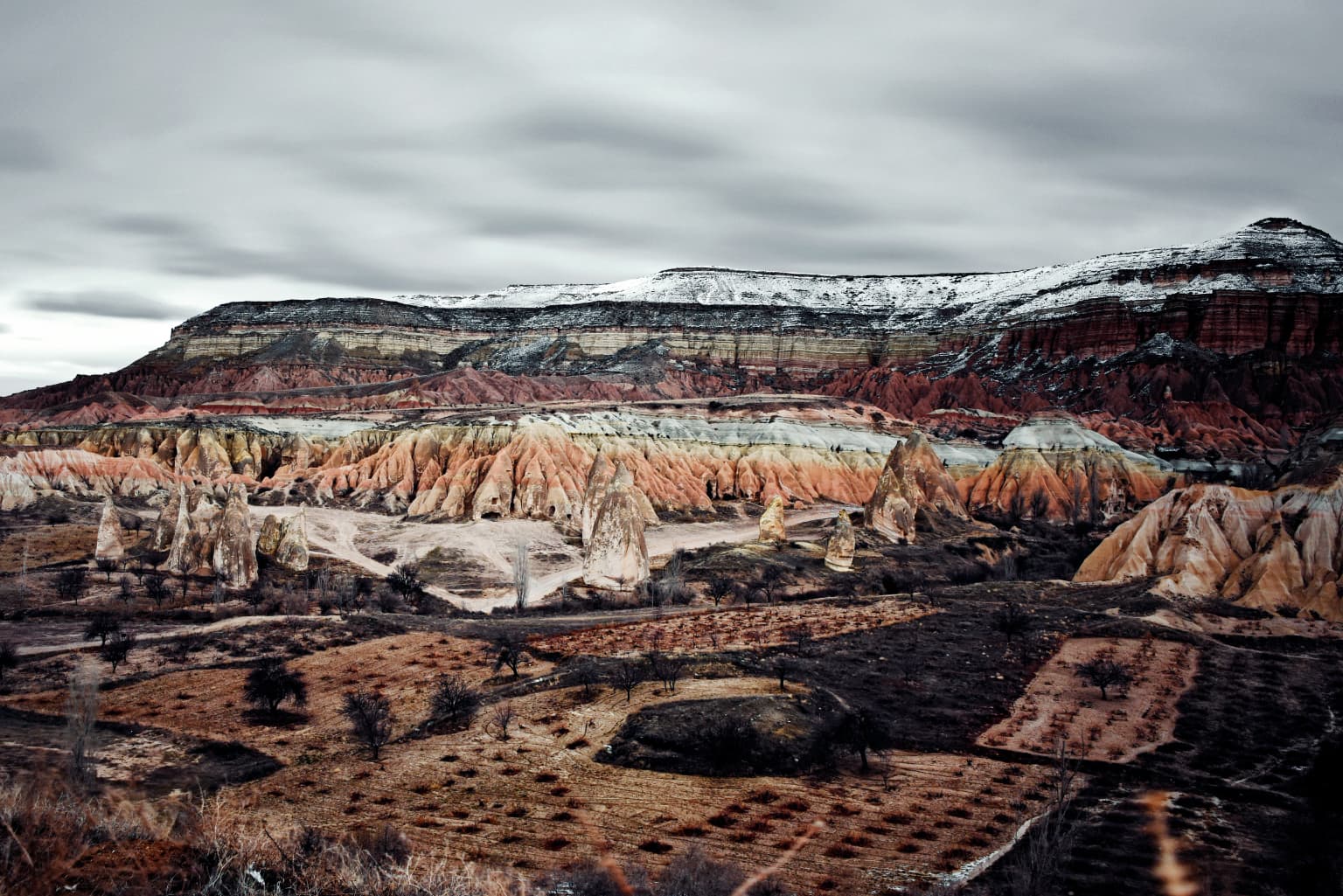 Panoramic view of Göreme Valley showing layered rock formations in red, orange, and white hues, terraced agricultural fields, and a cloudy sky