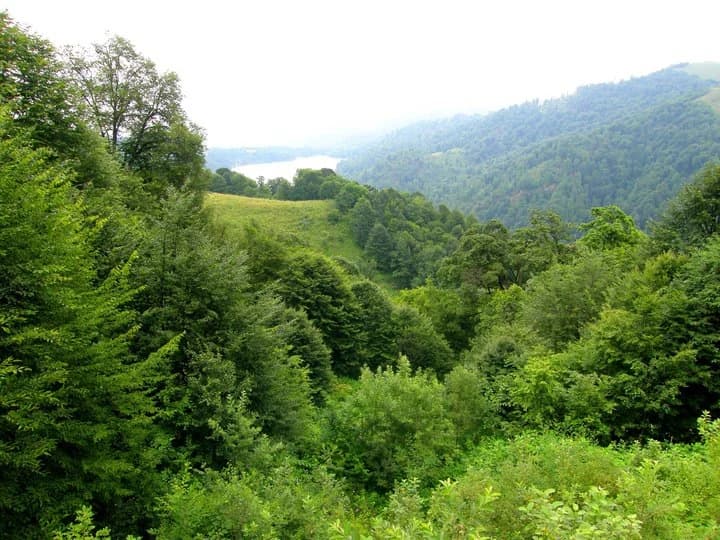 Wide view of lush green forests, rolling hills, and distant mountains with a lake visible