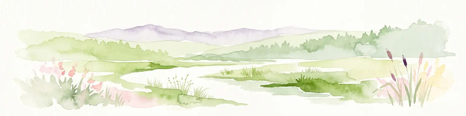 Acuarela de un paisaje verde y frondoso con colinas onduladas al fondo, un arroyo serpenteante en el plano medio y humedales con espadañas en el primer plano.