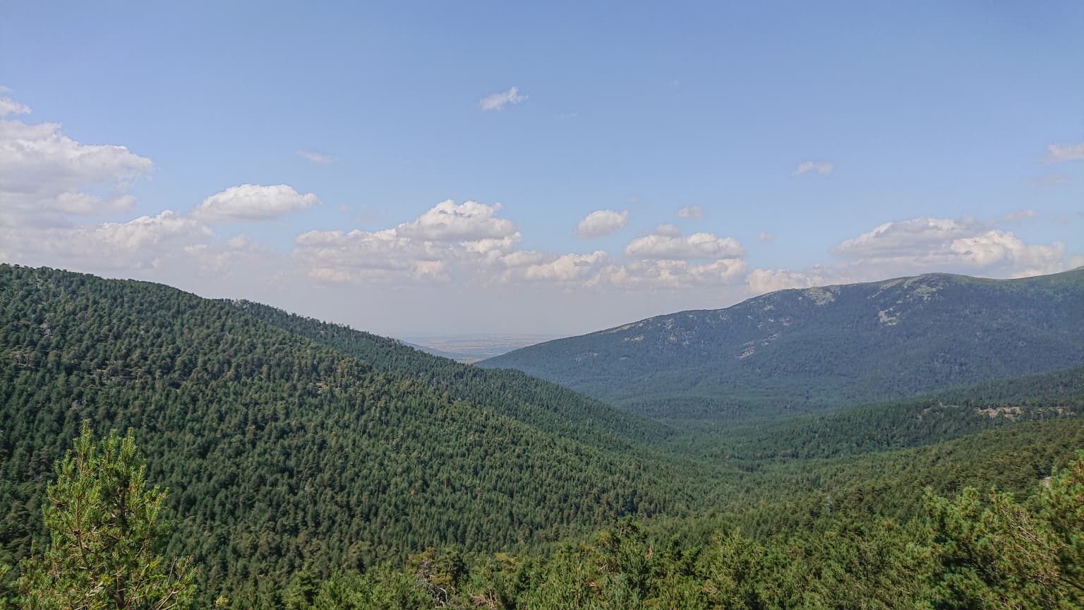 Panoramic view of forested mountain ranges with scattered clouds in the sky