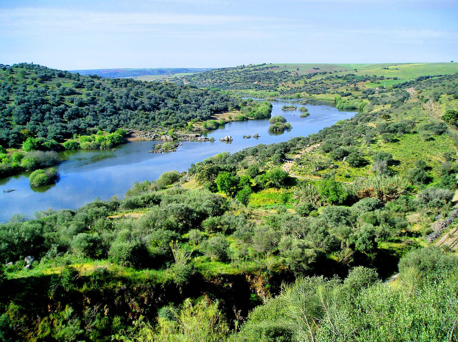 A wide view of the Guadiana River winding through a lush green valley with rolling hills under a clear blue sky.