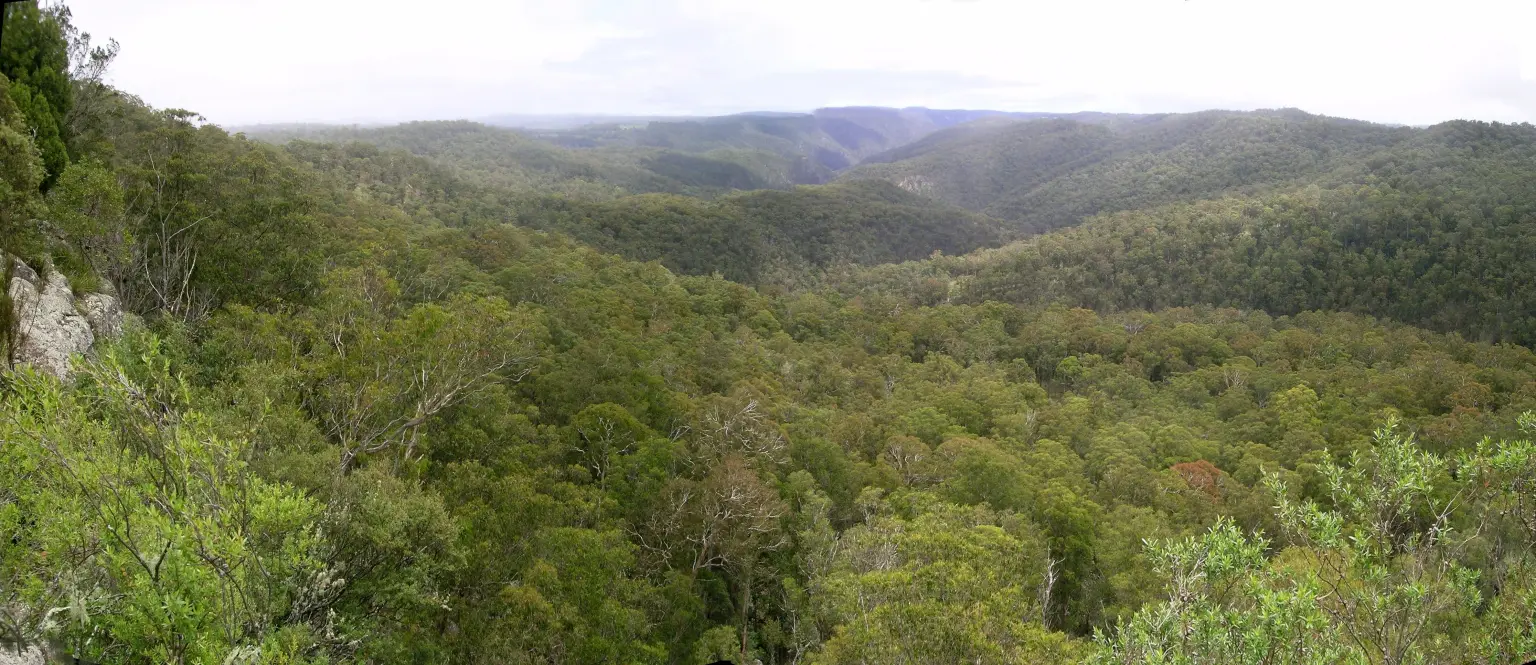 Wide landscape view showing dense green forest covering rolling hills and valleys under a partly cloudy sky
