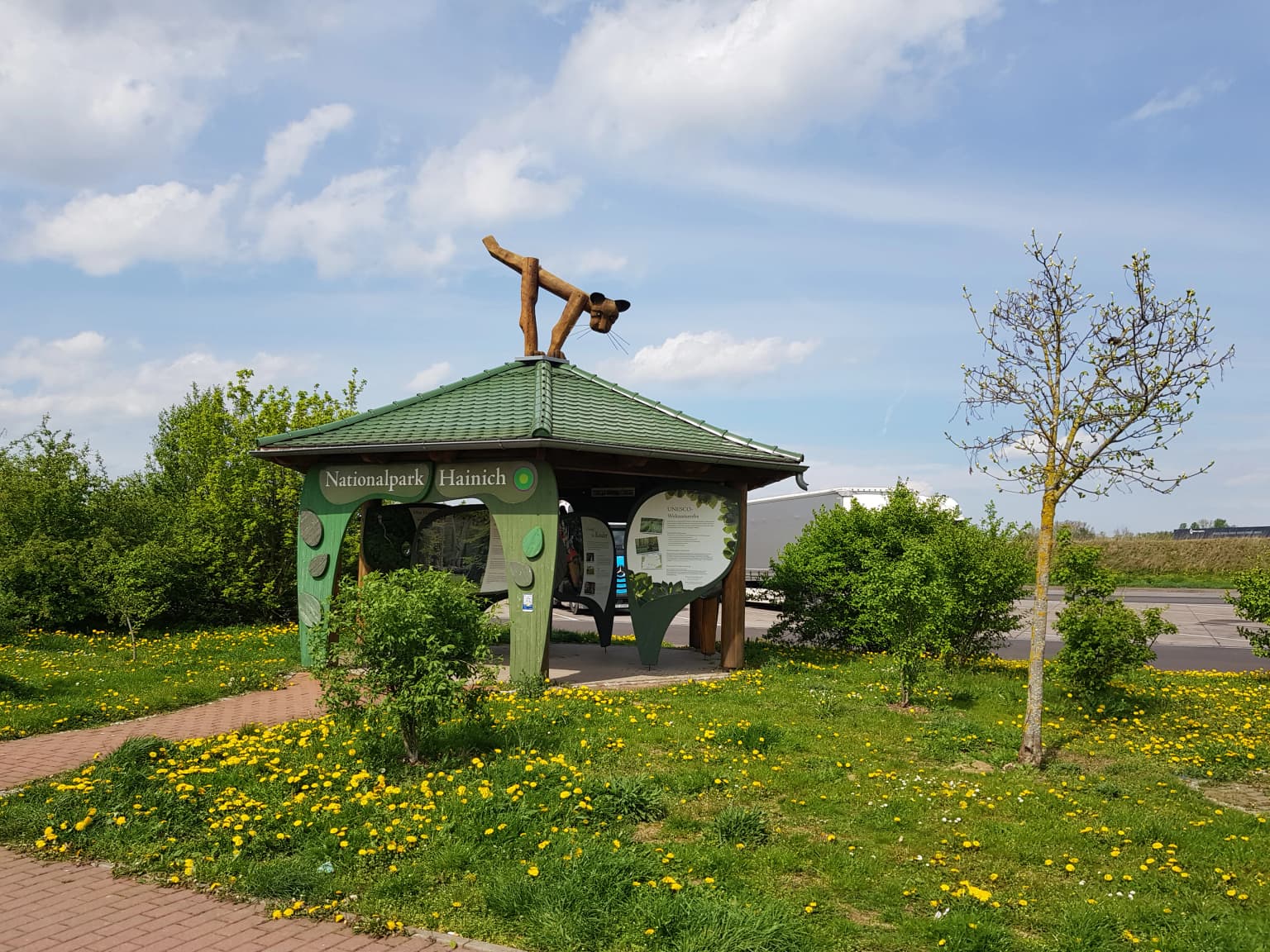 Green-roofed information pavilion for Hainich National Park with a wildcat sculpture on the roof, surrounded by grass with yellow flowers and trees