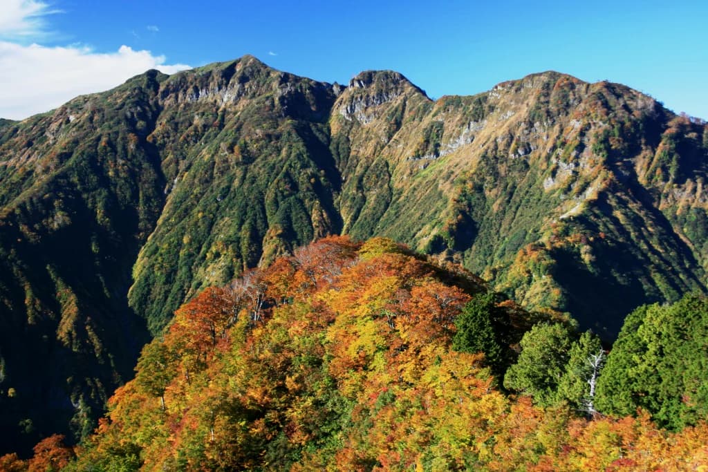 Paisaje montañoso con exuberante follaje otoñal y picos escarpados bajo un cielo azul despejado