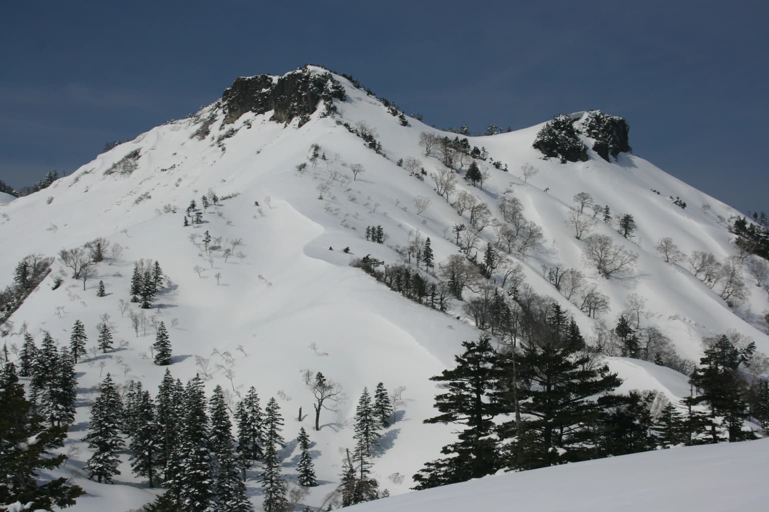 Cima de montaña cubierta de nieve con afloramientos rocosos, árboles de hoja perenne en las laderas inferiores y cielo azul claro