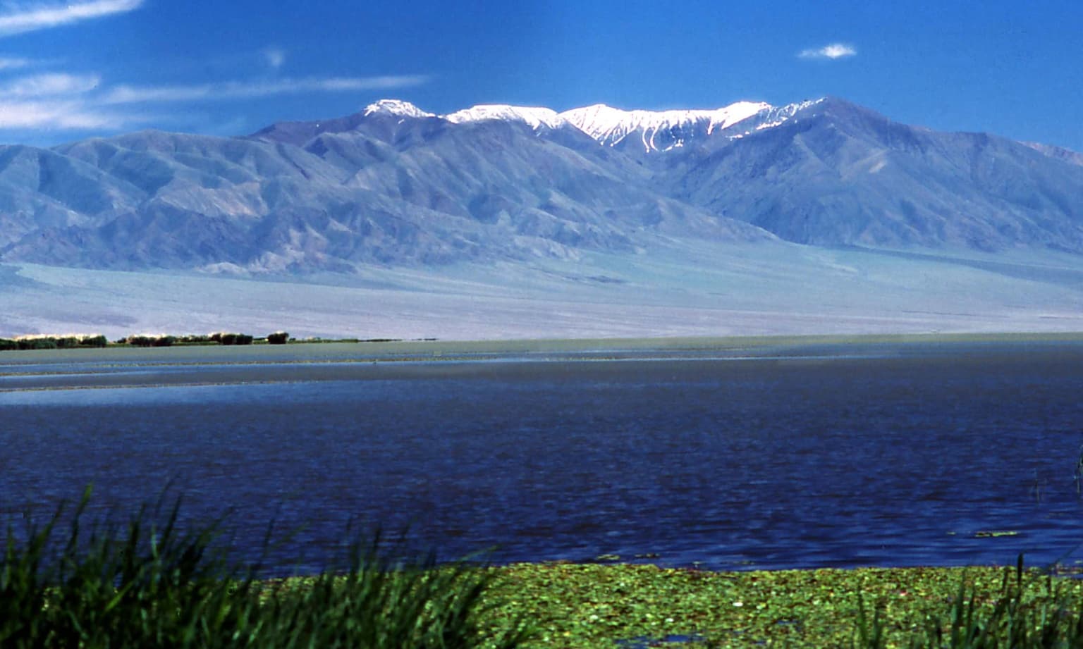 Vista del paisaje del lago Khar Us Nuur con la montaña Jargalant nevada bajo un cielo azul despejado