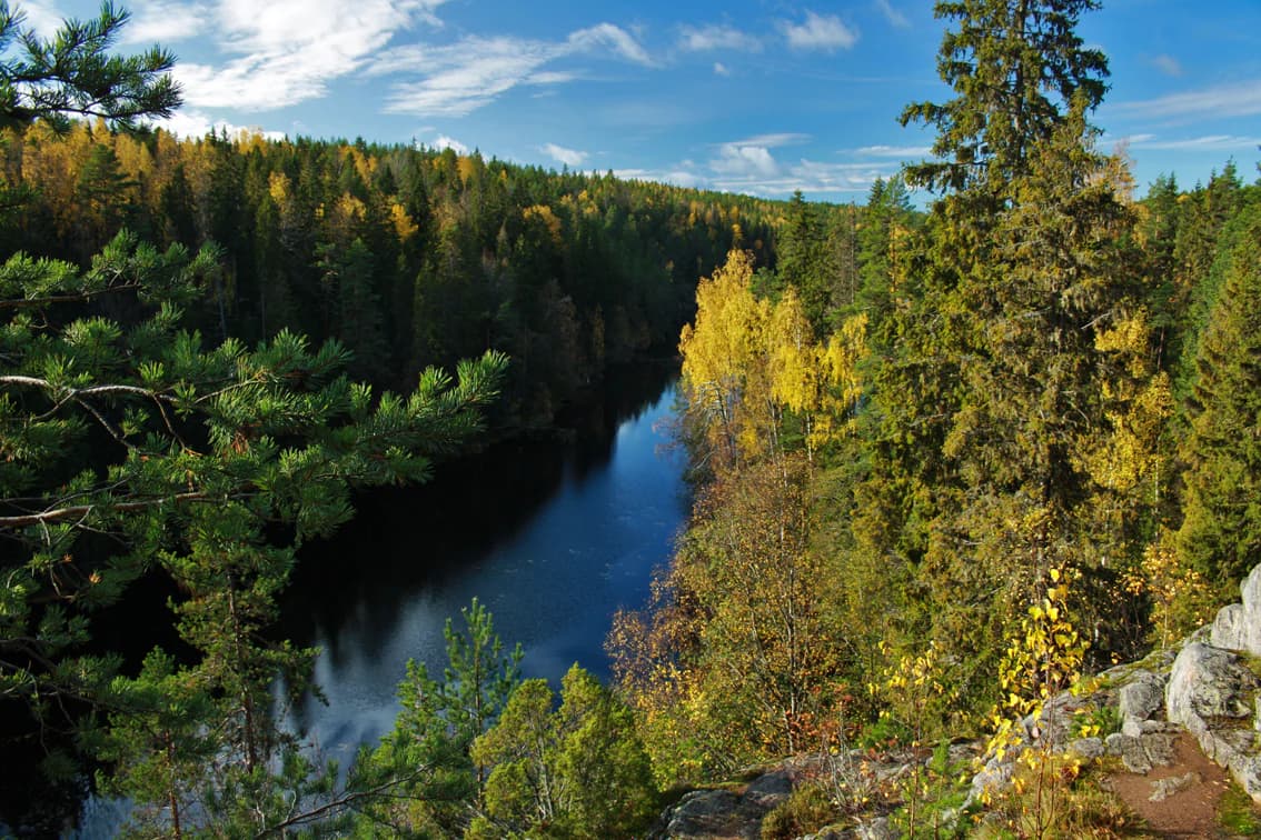 A river flowing through a forested gorge with rocky cliffs and autumn-colored trees under a clear blue sky