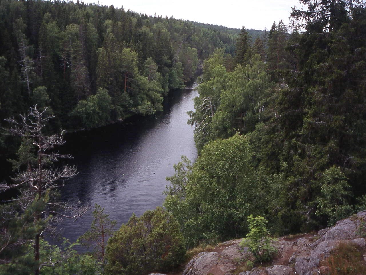 A river winding through dense forest with rocky terrain in the foreground