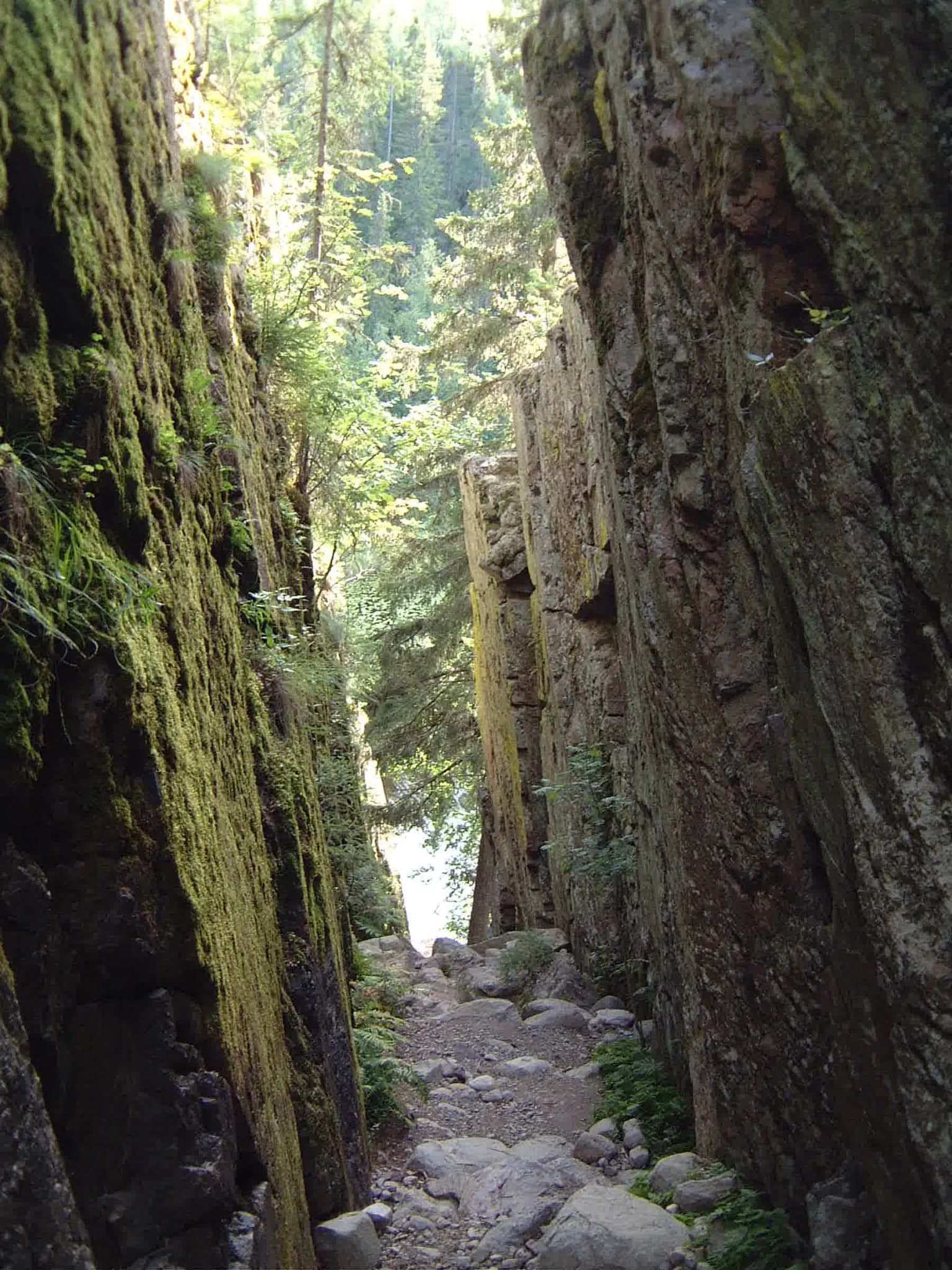 Narrow rocky gorge with moss-covered walls, a rocky trail, and green vegetation in Helvetinjärvi National Park