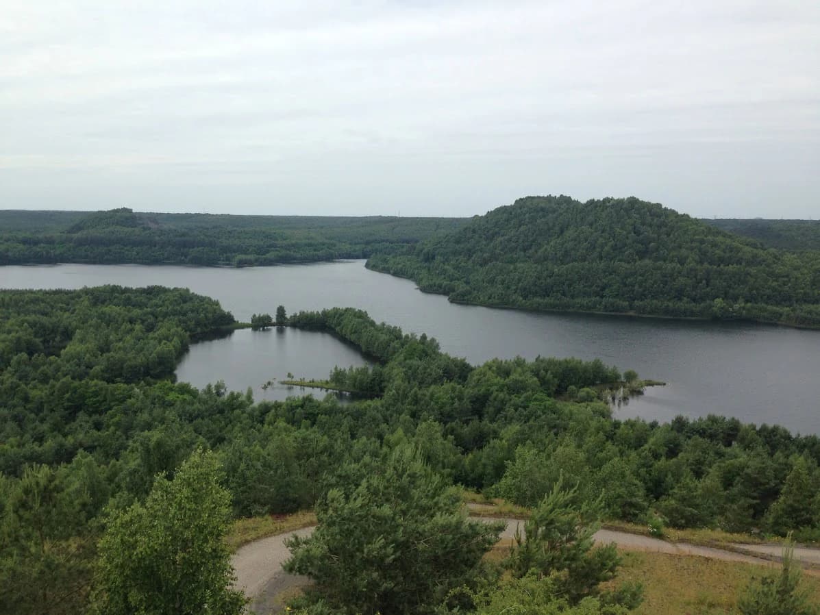 Wide landscape view of a lake surrounded by dense green forests and terrils under an overcast sky