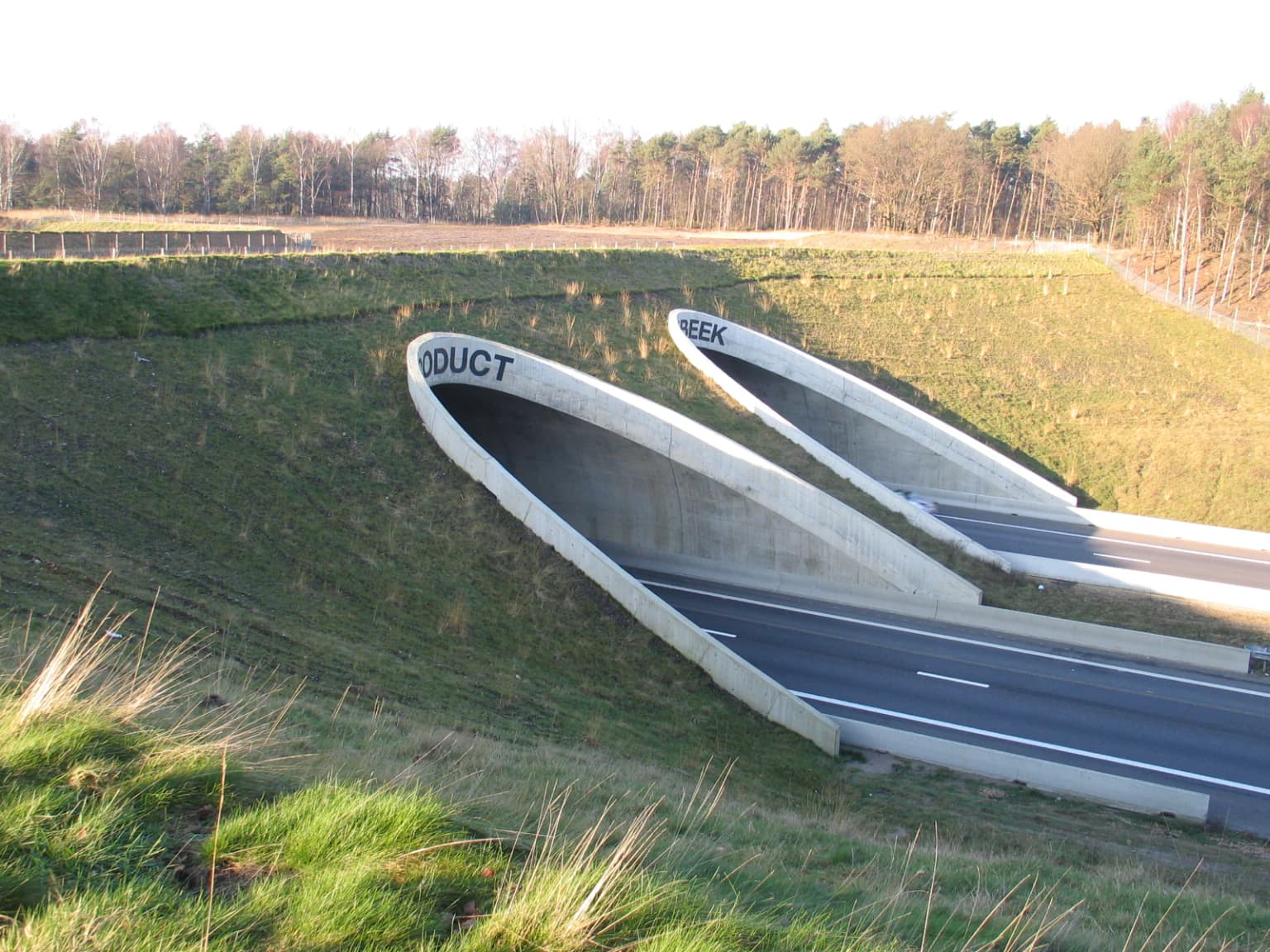 Concrete wildlife crossing structure with 'ECODUCT' and 'EEL' markings spanning a highway, surrounded by grassy embankments and forest