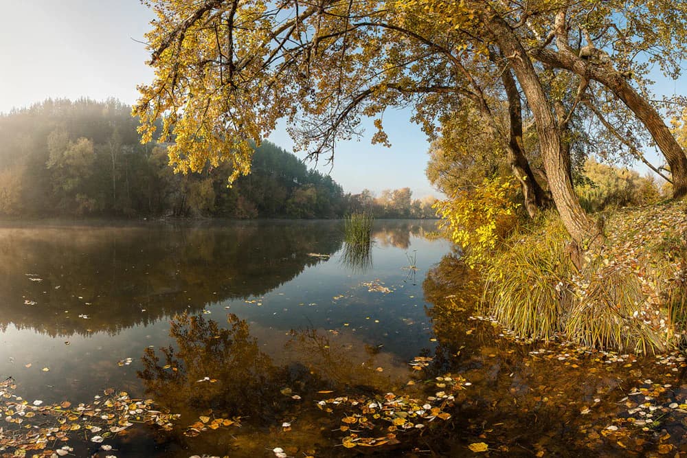 Calm river reflecting autumn trees and fallen leaves with forested hills in the background