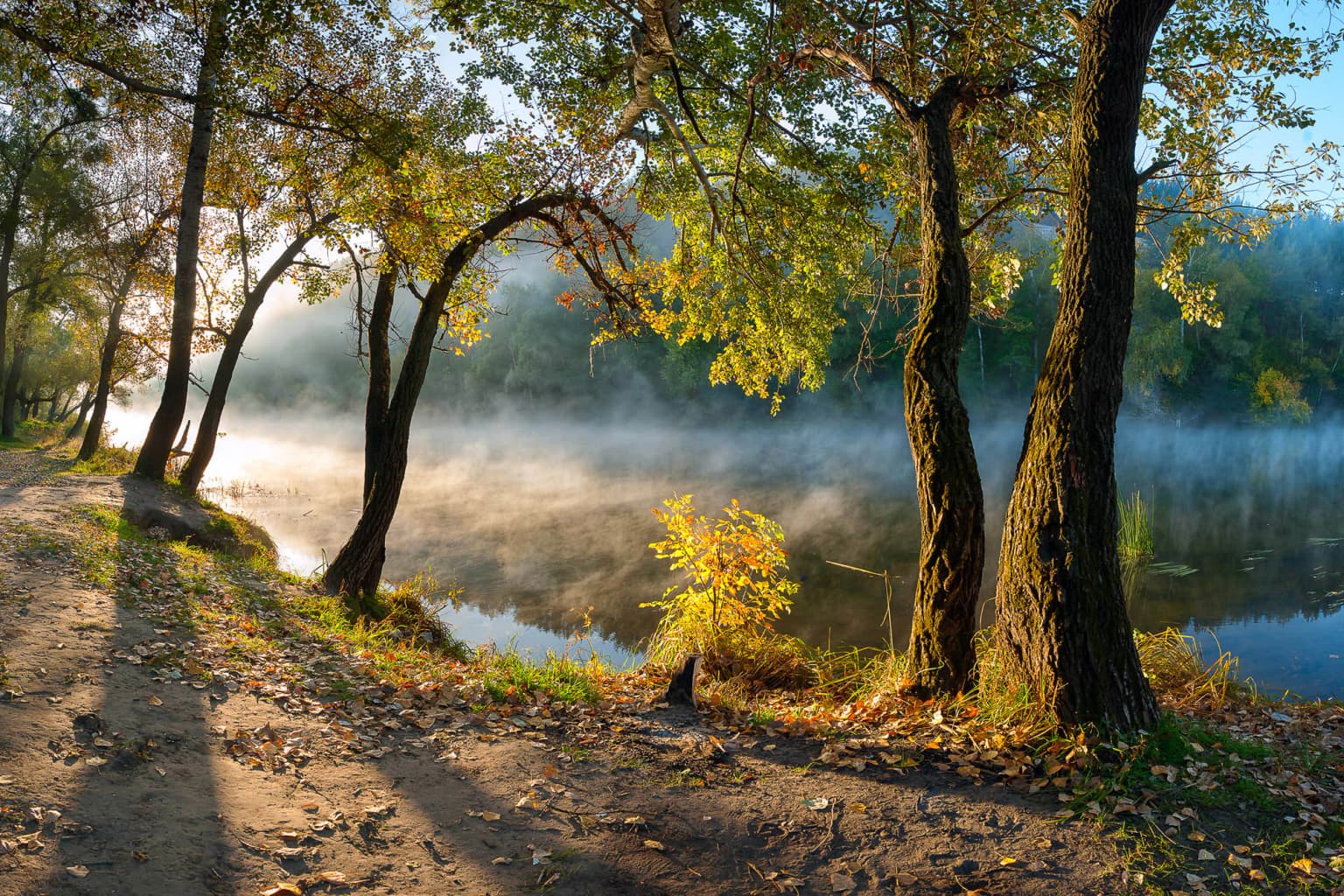 Dirt path alongside a misty river with trees and autumn foliage under early morning light