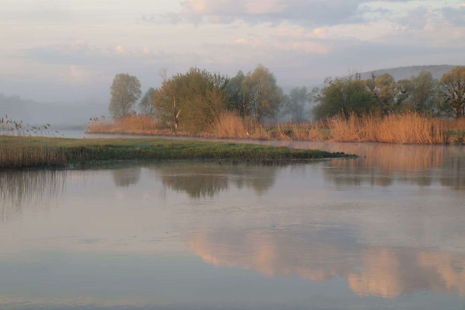 Calm river reflecting sky and clouds with grassy shore, reeds, and trees