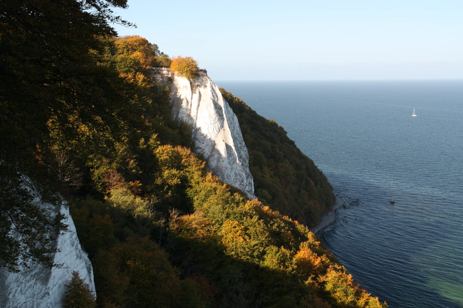 White chalk cliffs descending to the sea with dense forested hillside showing autumn colors