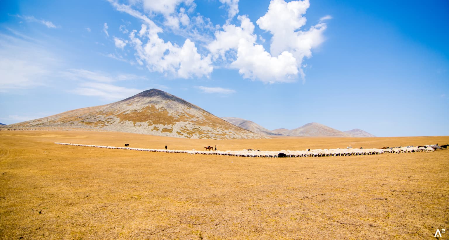 Golden-brown grasslands stretch toward a mountain under a blue sky with scattered clouds. A herd of animals is visible in the midground.