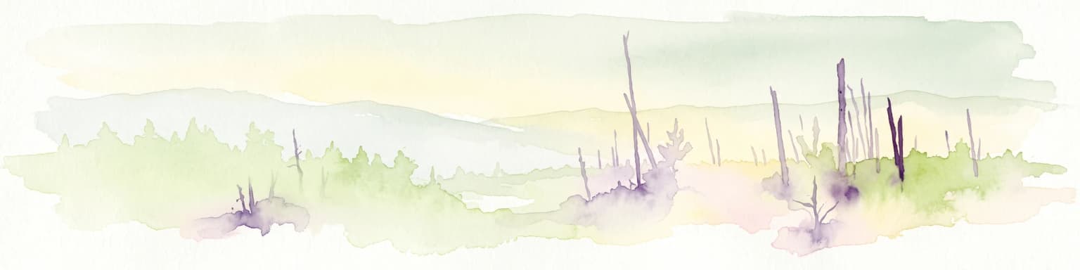 Una pintura de acuarela pálida de un paisaje con árboles muertos silueteados contra un fondo de pradera suave y de colores claros.