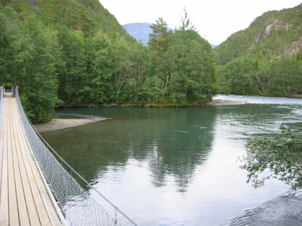 Wooden suspension bridge over a calm river surrounded by forested hills