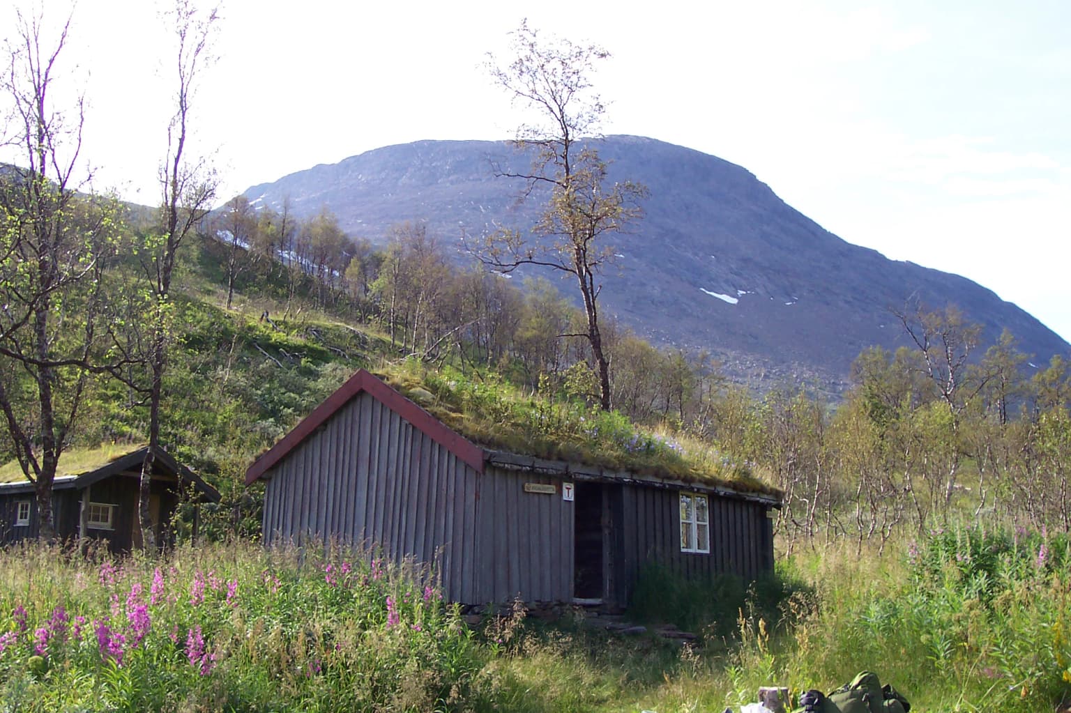 Wooden cabin with grass-covered roof surrounded by green vegetation and wildflowers, with mountains in the background