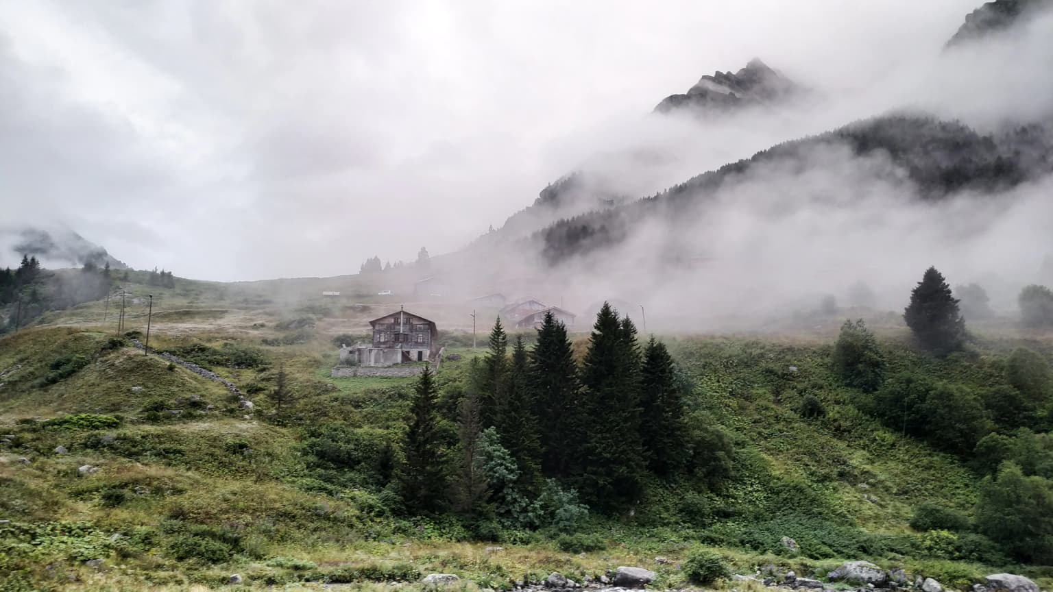 Misty landscape with grassy hills, scattered trees, and a building in the midground, with mountains partially obscured by fog