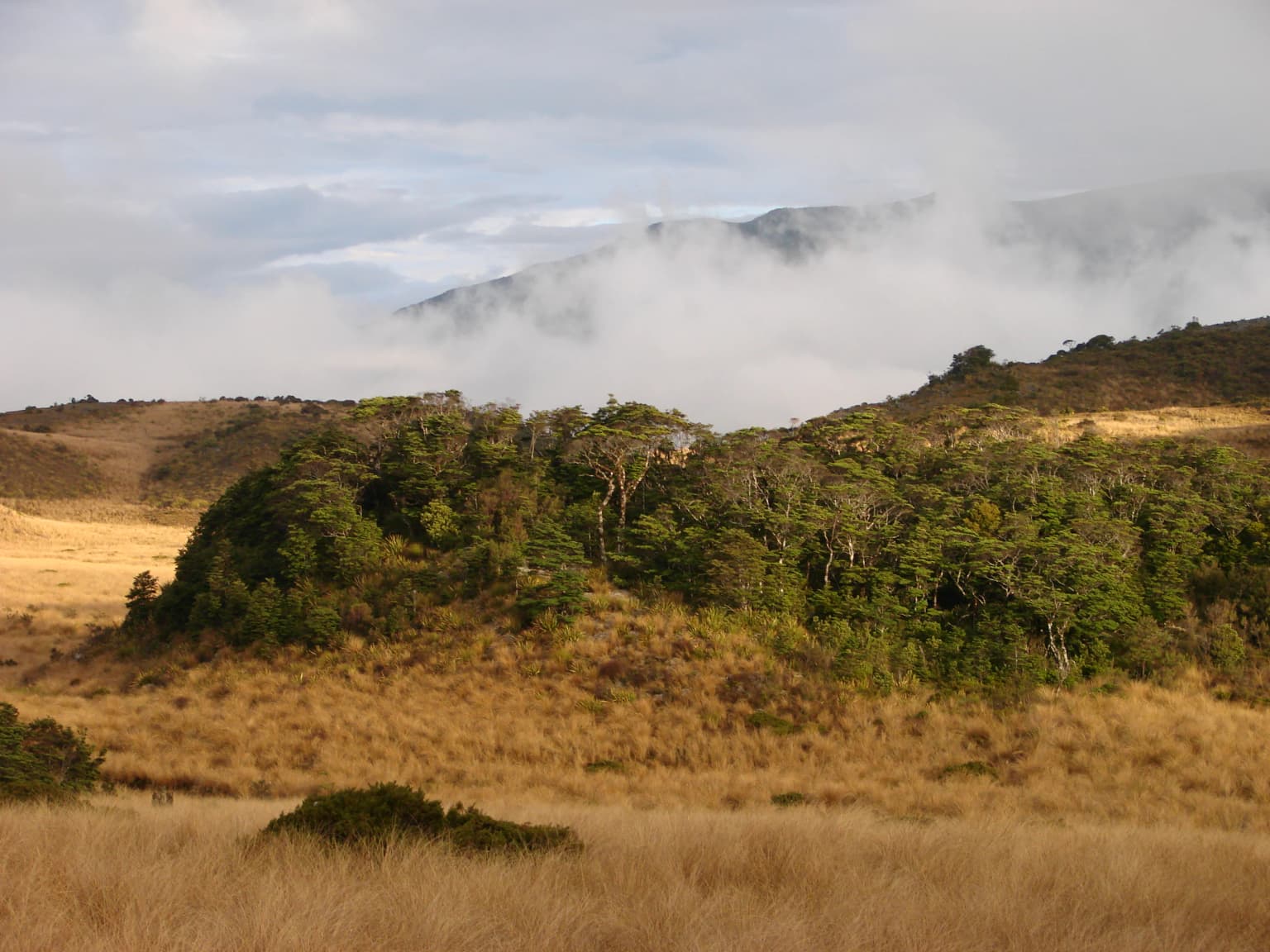 Grassy plain with a forested outcrop and distant mist-covered mountains under a partly cloudy sky