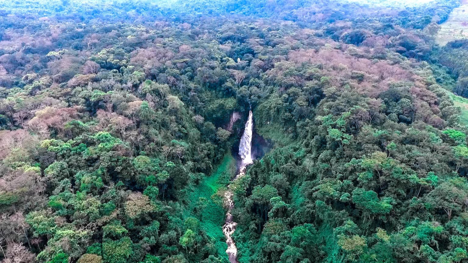 Aerial view of a waterfall surrounded by dense tropical forest