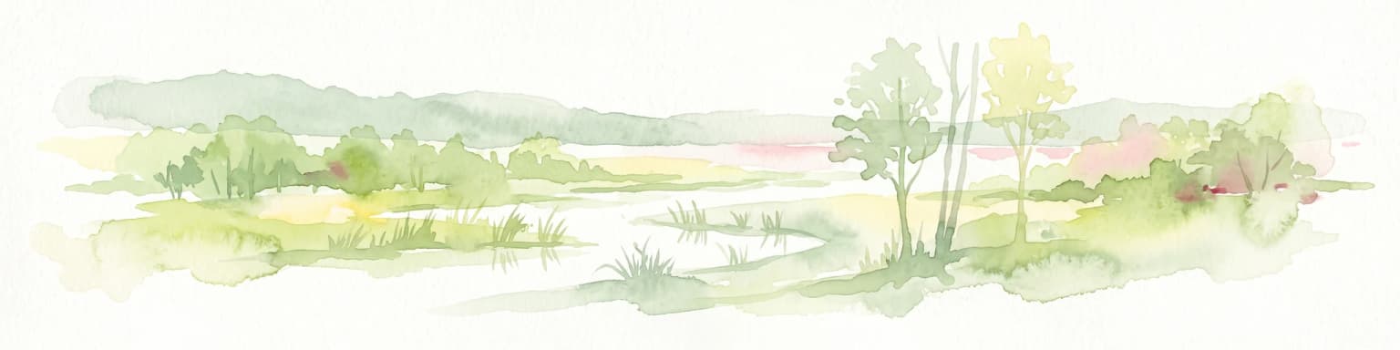 Una ilustración suave en acuarela de un paisaje pantanoso con colinas bajas y onduladas, árboles dispersos y un arroyo serpenteante, representada en tonos verdes claros y amarillos sobre un fondo blanco.