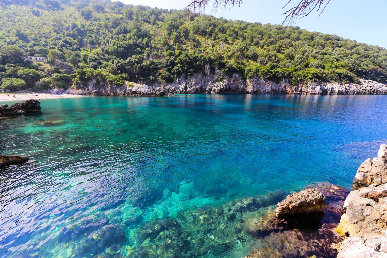 Clear turquoise water in a coastal cove with rocky shorelines and lush green forested hills in the background