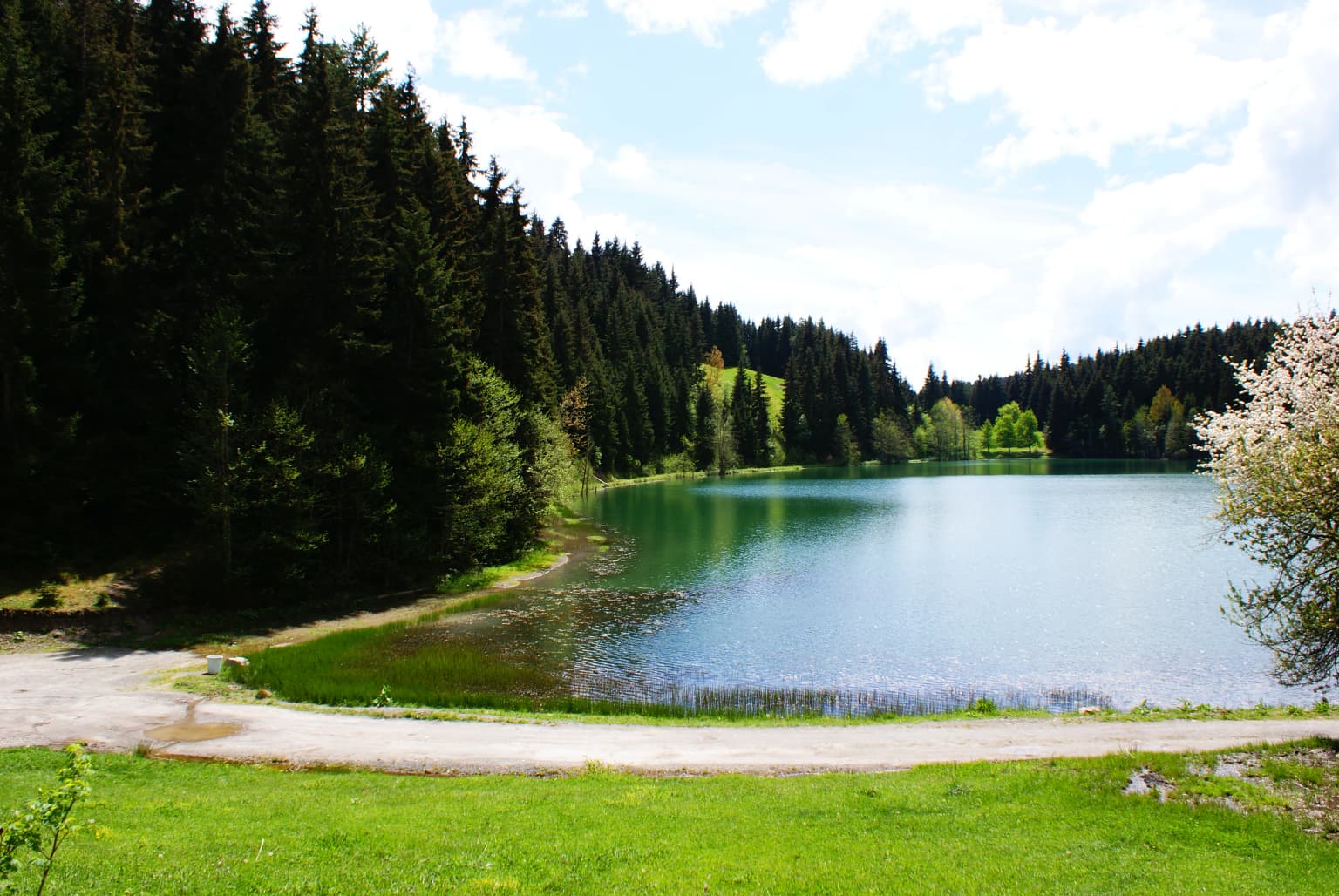 A lake with clear blue water bordered by dense green forest and a paved path, under a partly cloudy sky