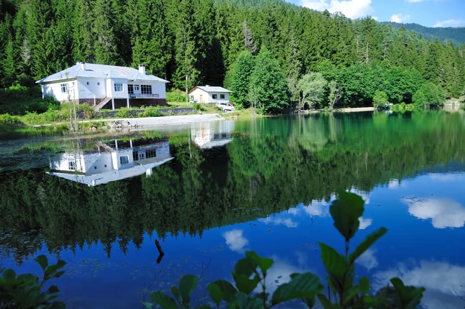 Calm lake reflecting white houses and dense forest with green trees