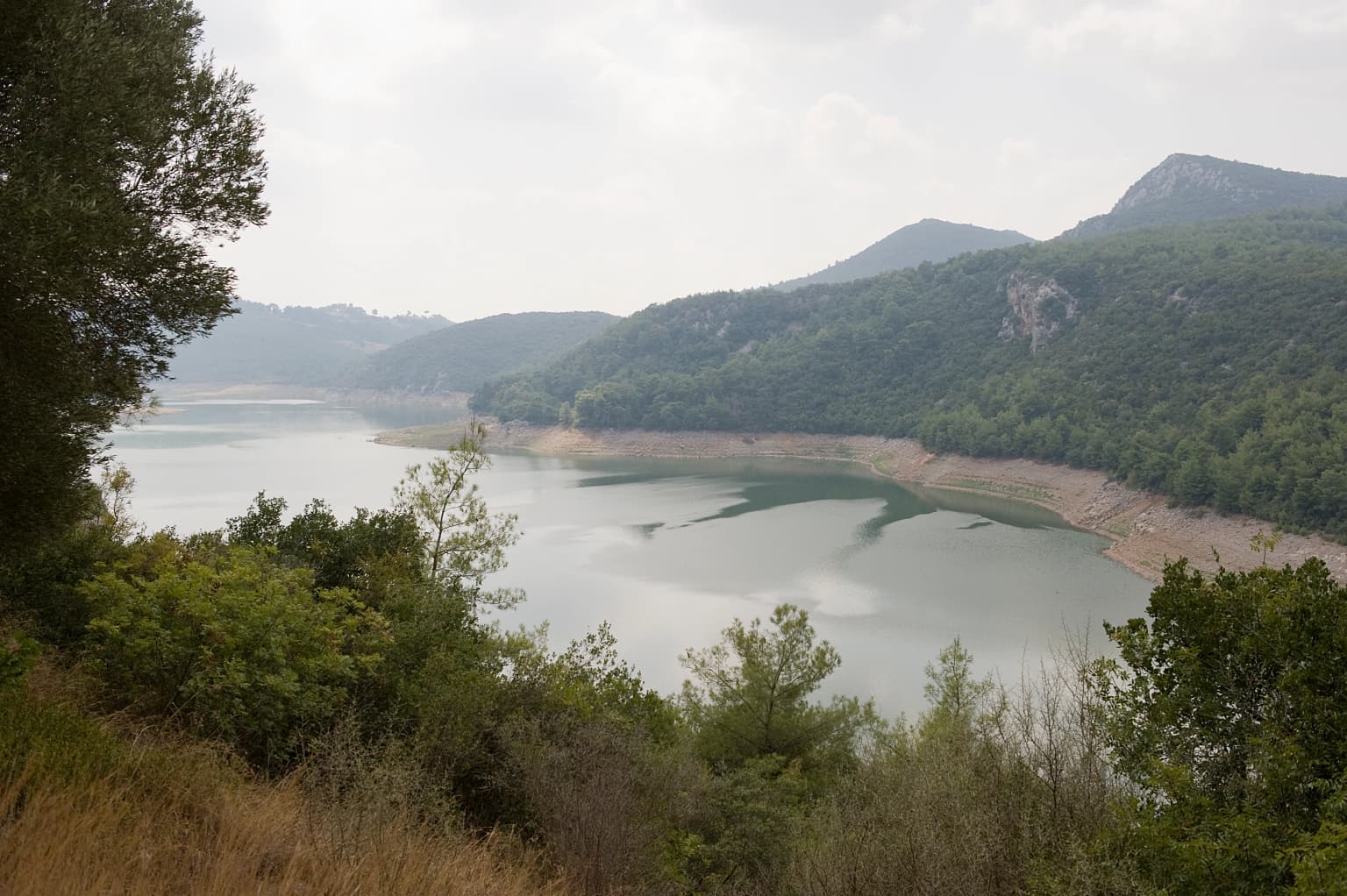Reservoir surrounded by hills and forested areas with dry grass in foreground