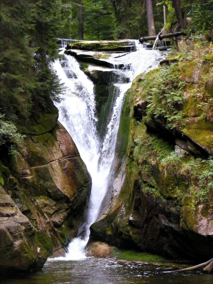 Waterfall cascading over moss-covered rocks with surrounding forest