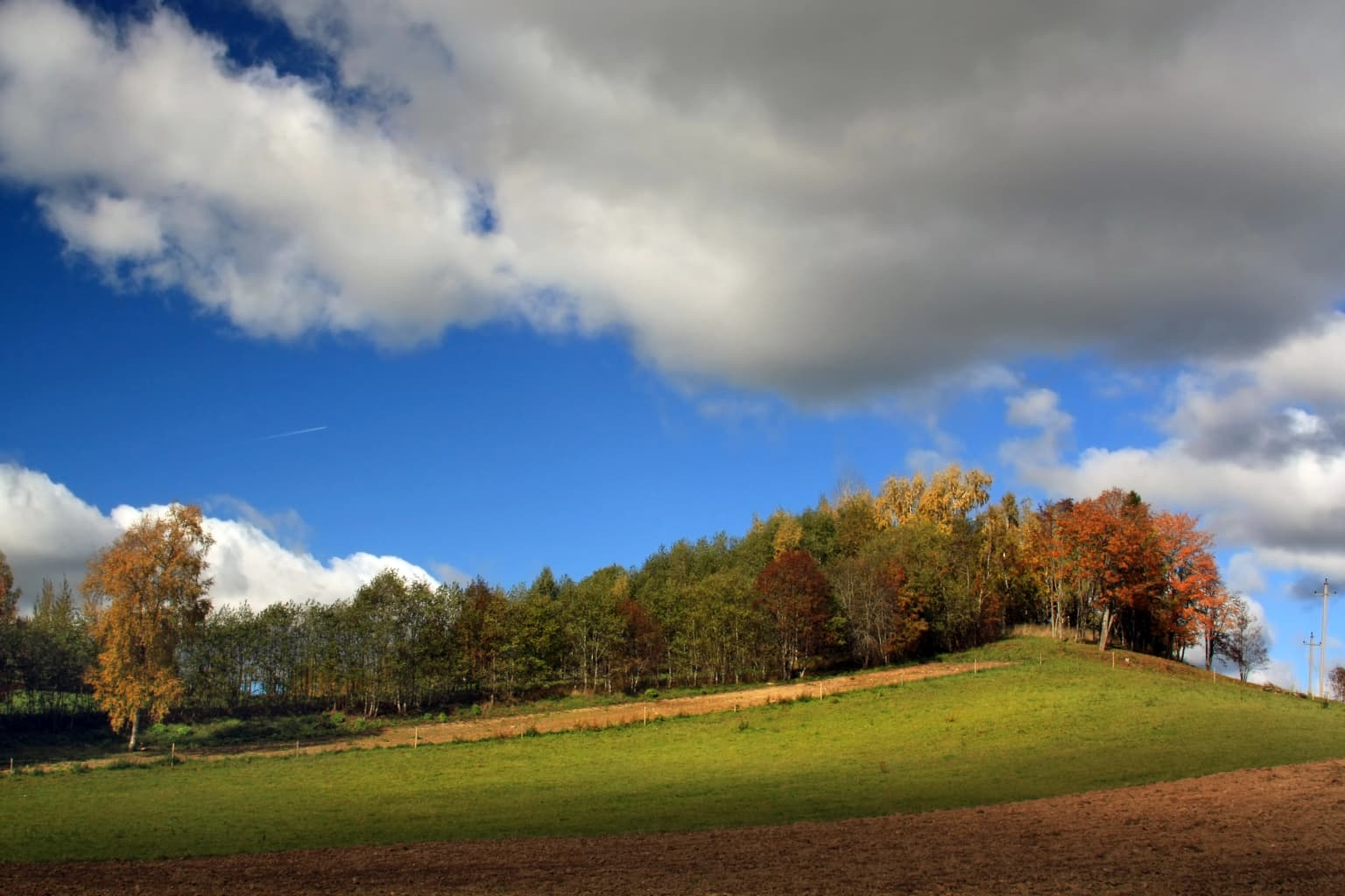 A grassy hill with autumn-colored trees under a partly cloudy sky