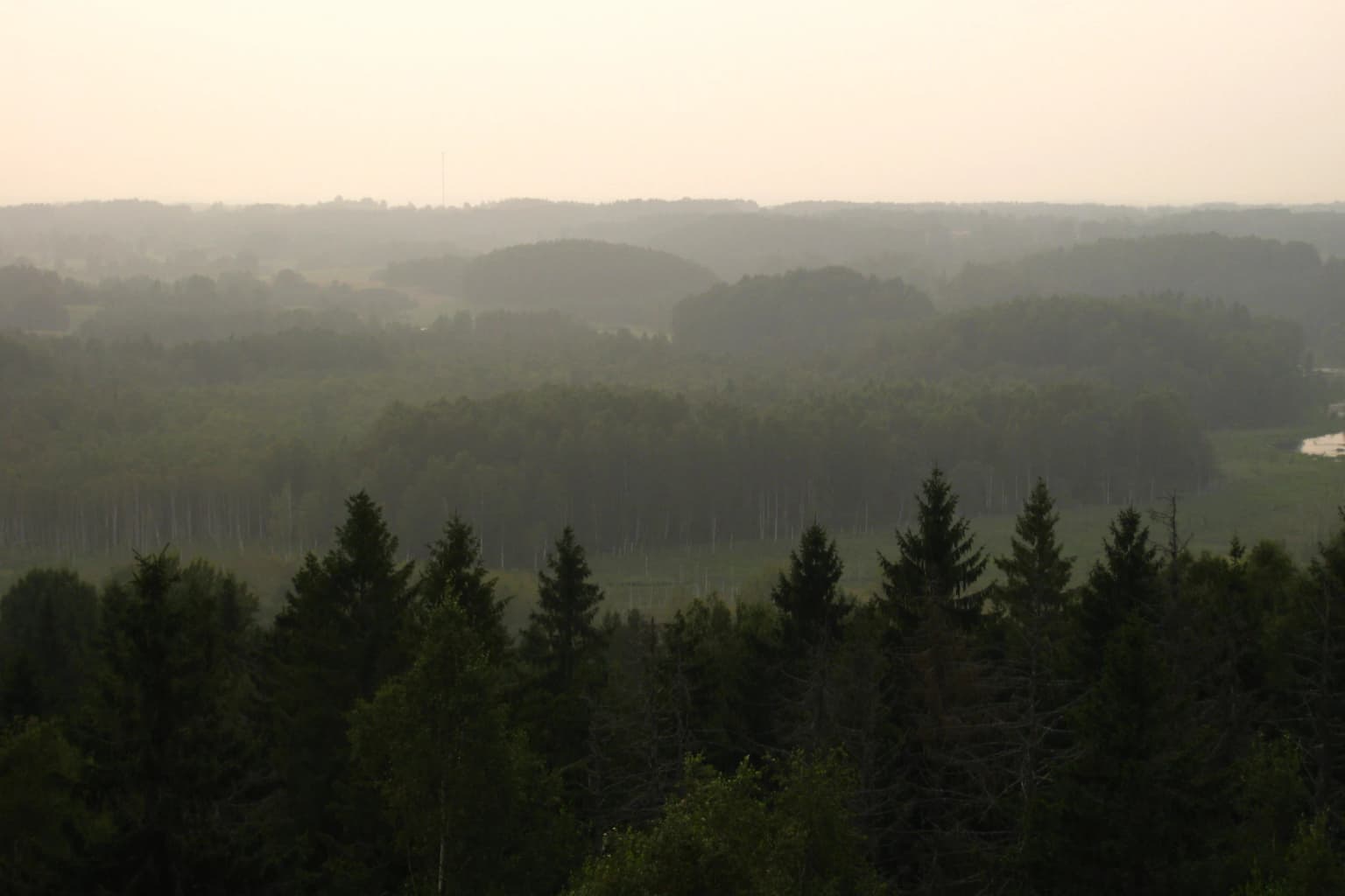 Forest landscape with rolling hills and distant horizon viewed from an observation tower