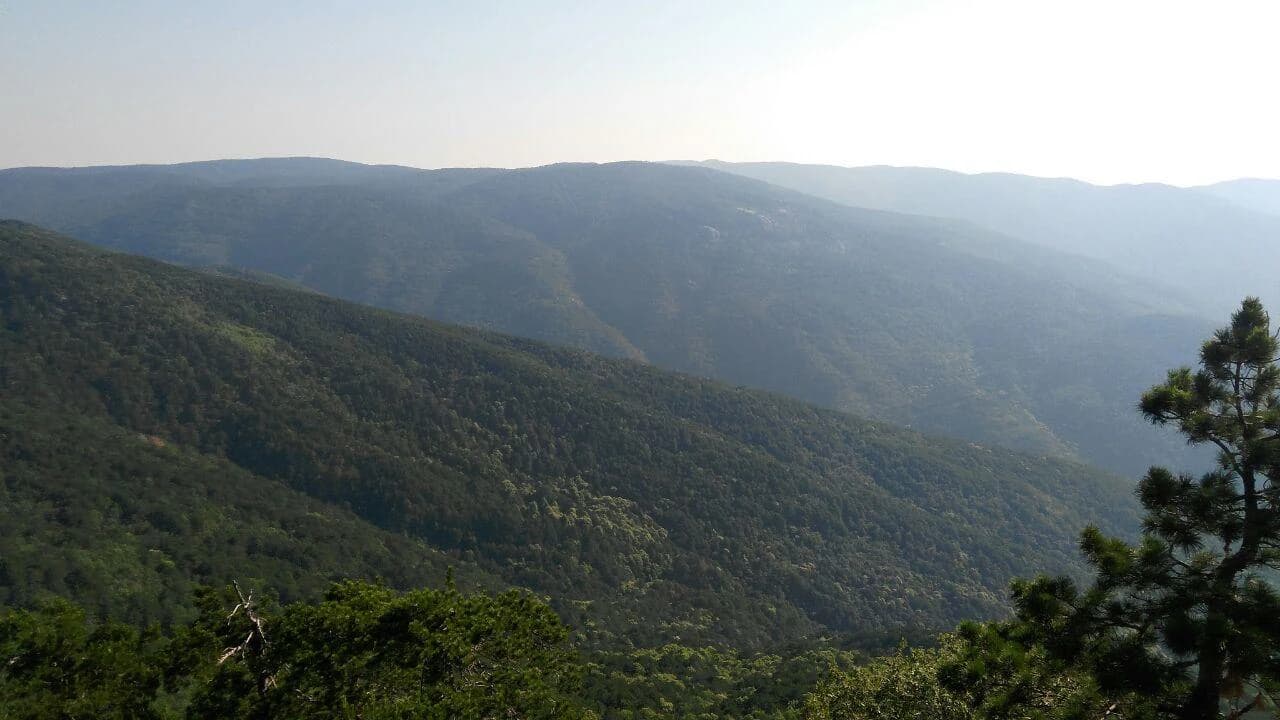 Lush green mountain range with valleys under a clear sky, visible trees in the foreground