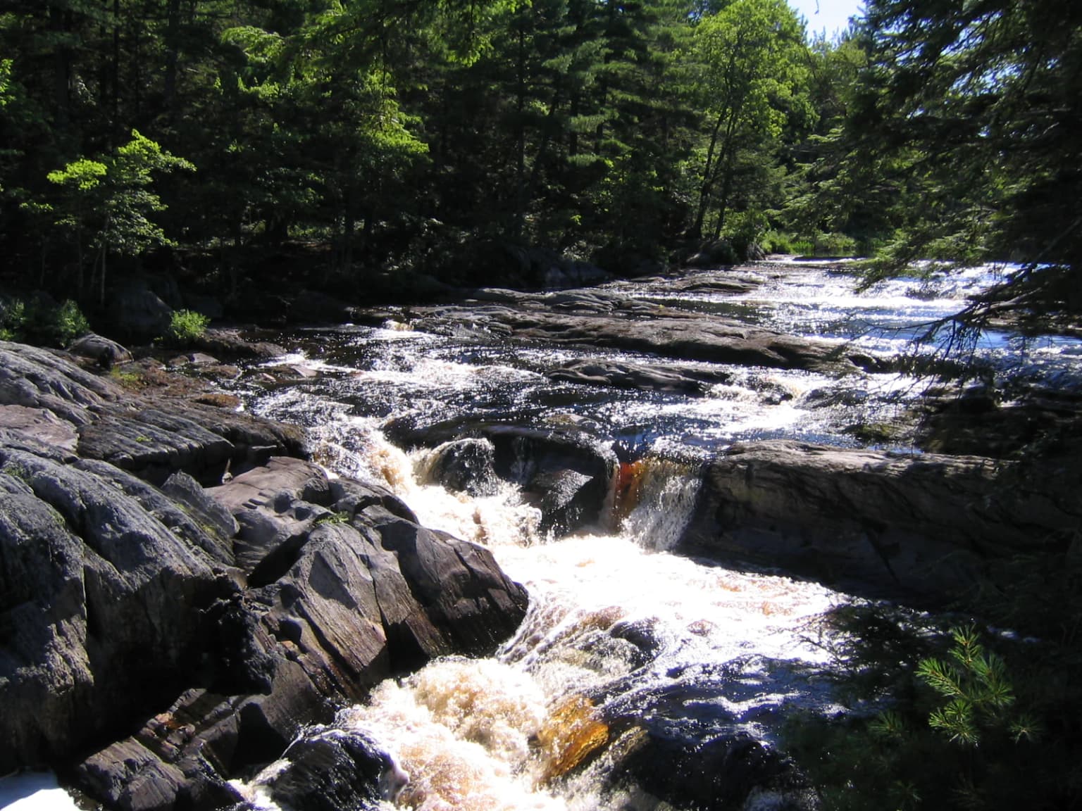Aguas bravas fluyendo sobre rocas oscuras en un paisaje fluvial boscoso