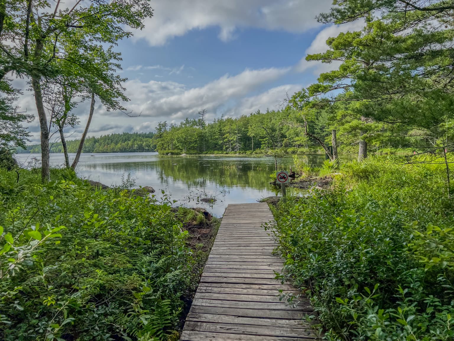 Pasarela de madera rodeada de densa vegetación verde que conduce a un lago tranquilo con orilla boscosa bajo un cielo parcialmente nublado.