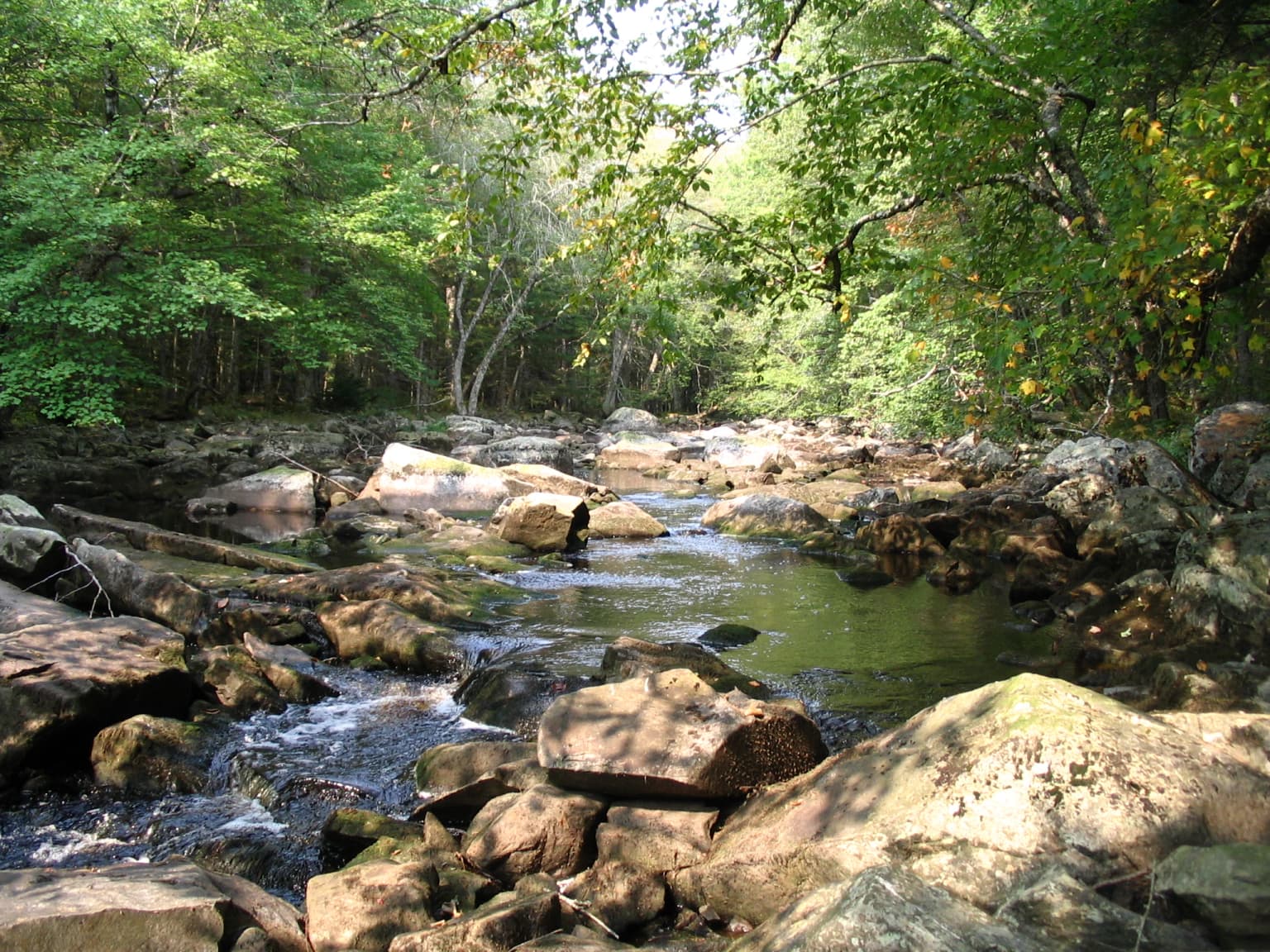 Un río con agua que fluye y rocas grandes rodeado de árboles forestales en colores otoñales