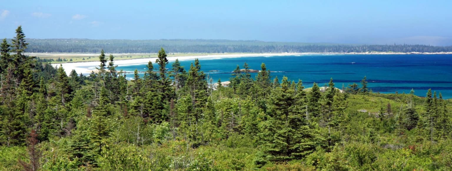 Vista amplia de un paisaje costero con bosque denso de hoja perenne en primer plano, una playa de arena y océano azul bajo cielo despejado