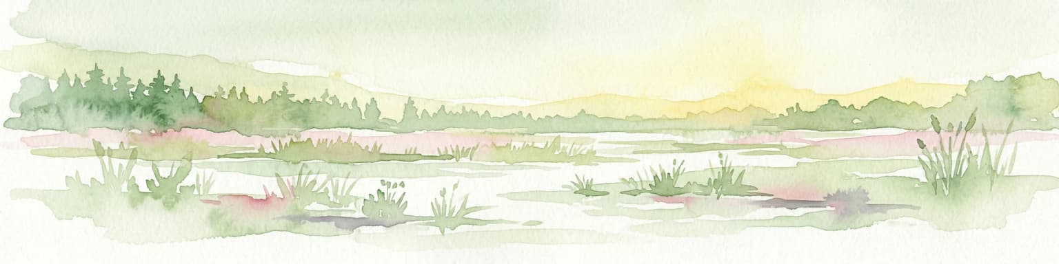 Watercolor illustration of a wetland landscape with grasses, trees, and a sunset