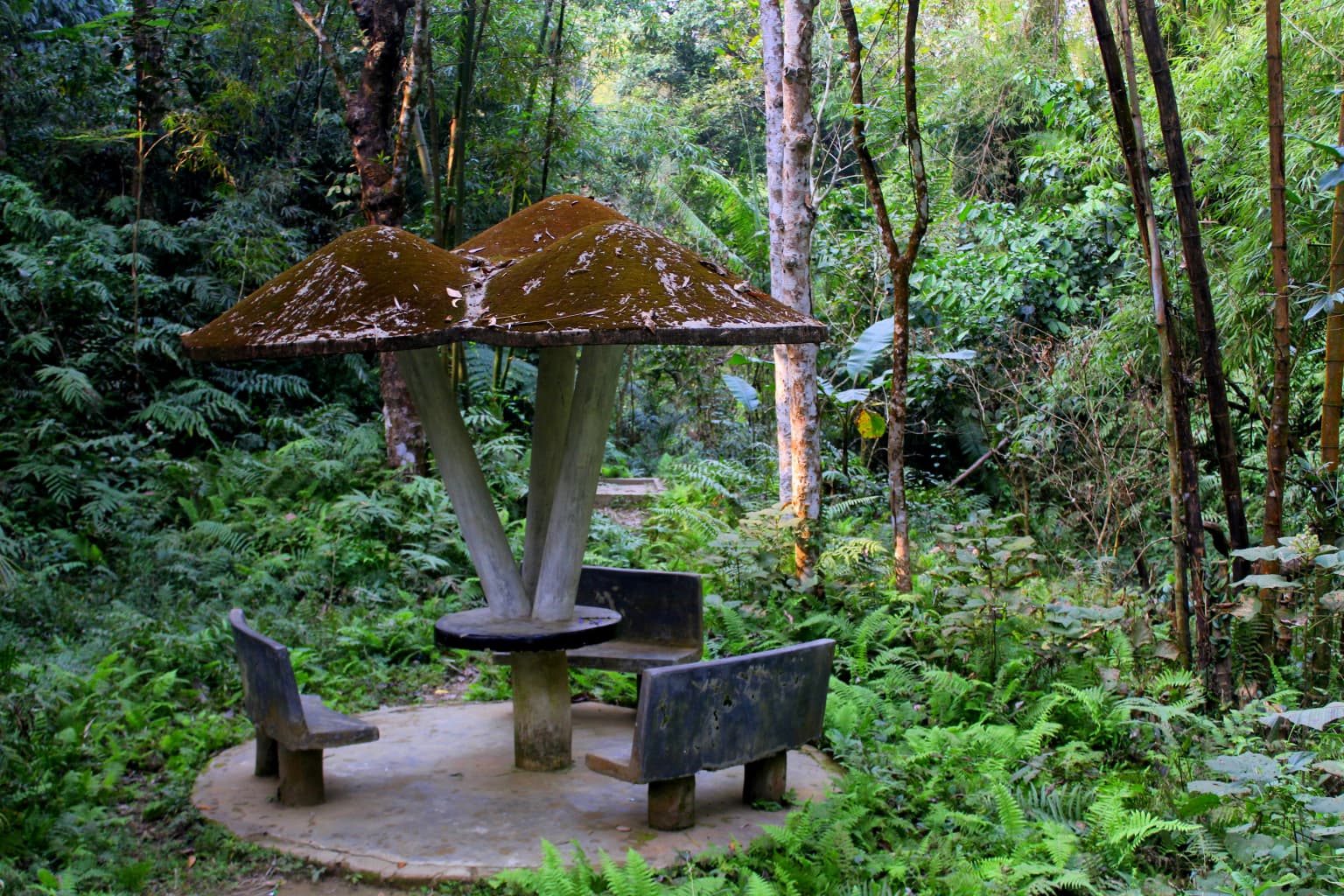 Mushroom-shaped bench in Khadim Nagar National Park