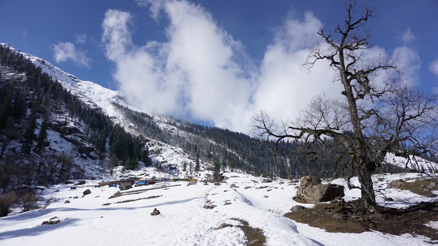 Snow-covered mountains and valley with a leafless tree under a partly cloudy blue sky
