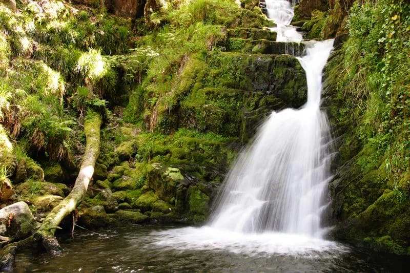 Waterfall cascading over moss-covered rocks with green vegetation and a fallen tree trunk in the foreground