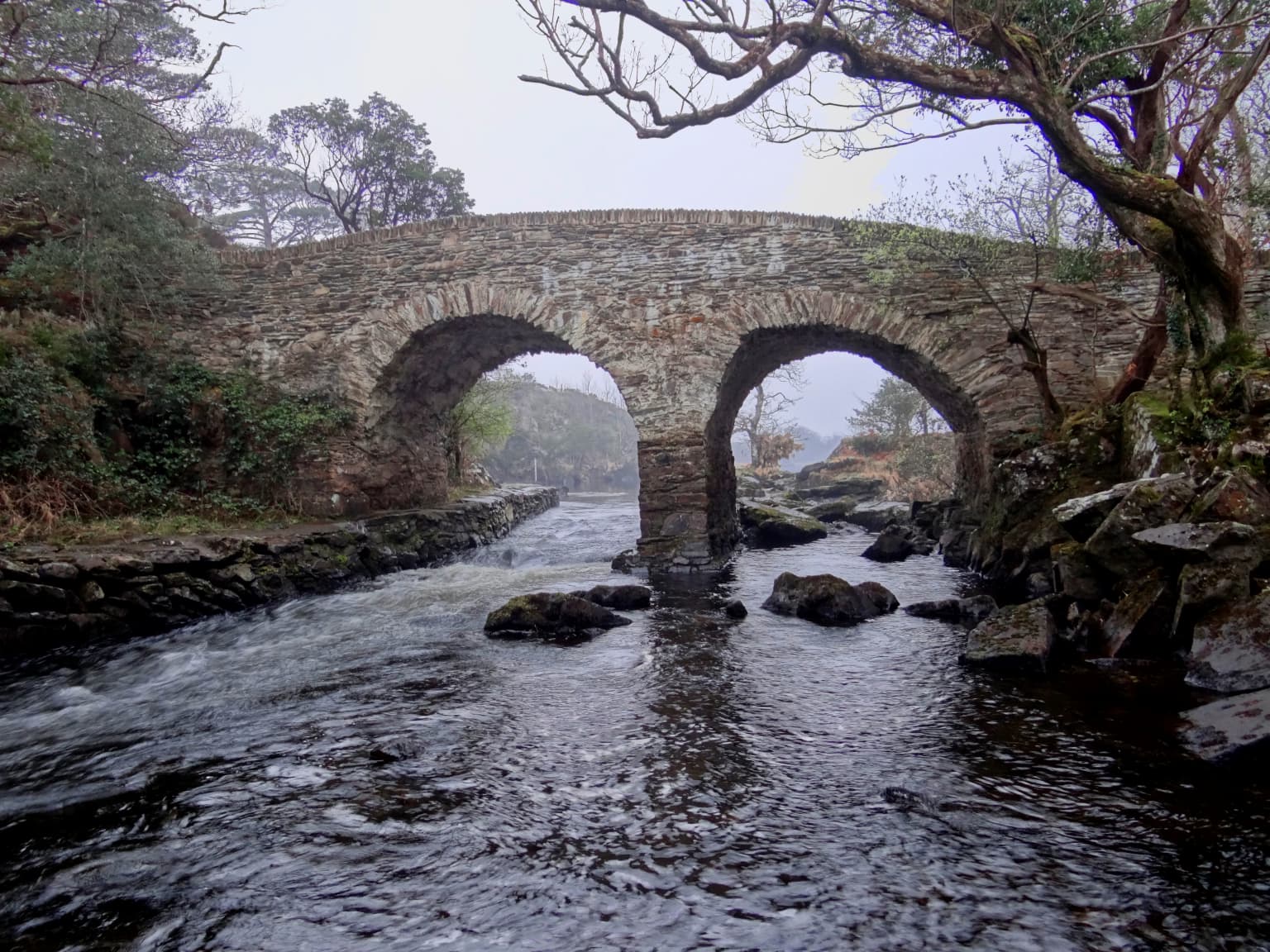 Stone bridge with two arches spanning a flowing river, surrounded by trees and rocks in a misty environment