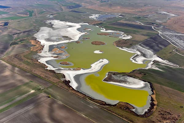 Aerial view of Kiskunság National Park with green and brown wetland areas, lakes, and surrounding fields