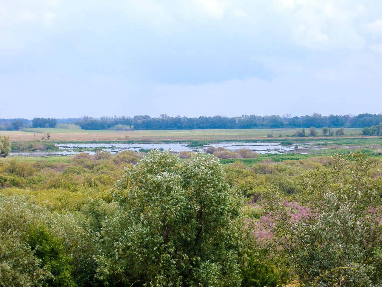 Wide view of a meadow landscape with a river, trees, and open fields under a partly cloudy sky