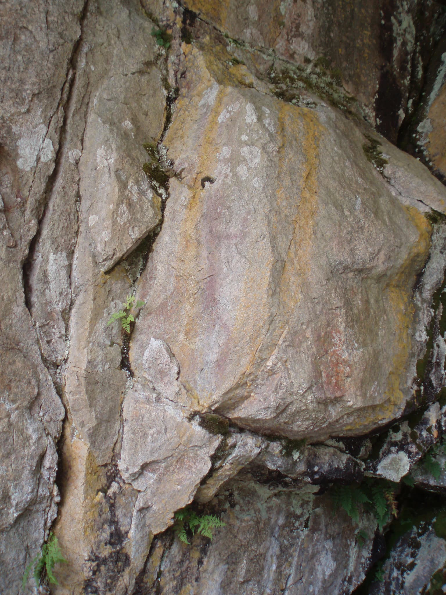 Rock face with faint red cave paintings and patches of moss and small plants.