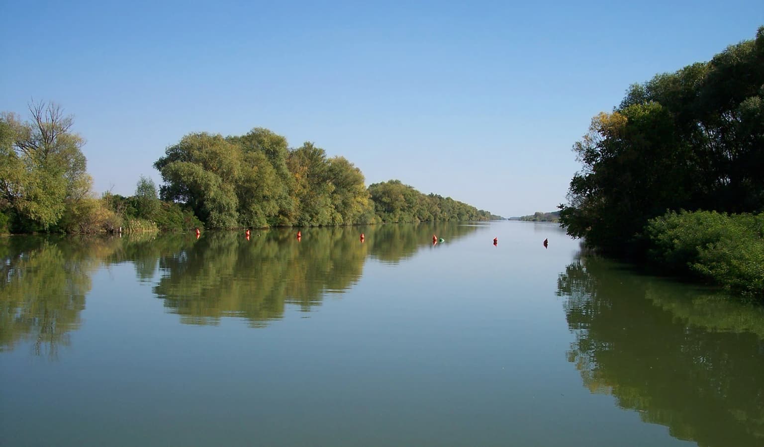 Calm river reflecting green trees, red buoys floating on water, tree-lined banks under clear blue sky